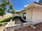 10520 Campana Drive - Photo 40