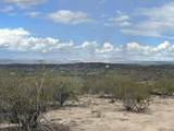 00 Dragonshead 6.44Ac Road - Photo 29