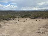 00 Dragonshead 6.44Ac Road - Photo 30