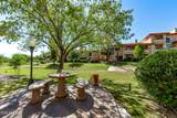 10410 Cave Creek Road - Photo 15