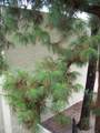 7625 Camelback Road - Photo 21