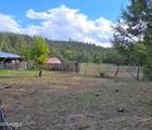 3995 Forest Svc Rd 249 - Photo 88
