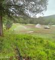 3995 Forest Svc Rd 249 - Photo 92