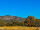 0 Johnny Ridge Rd 37 Acres - Photo 5