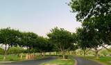 8323 Sunset View Drive - Photo 40