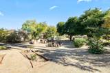 8150 Appaloosa Trail - Photo 19