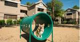 13440 44th Street - Photo 13