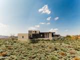 14339 Desert Tortoise Trail - Photo 7