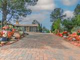 215 Mountain Shadows Drive - Photo 1