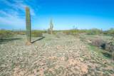 1850 Cactus Forest Road - Photo 6