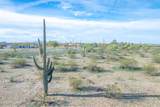 1850 Cactus Forest Road - Photo 7