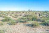 1850 Cactus Forest Road - Photo 8