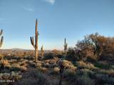 16XXX Calle De Las Estrellas - Photo 13