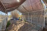 33514 Indian School Road - Photo 49