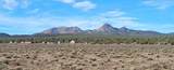 12700 Madman Mountain Road - Photo 12