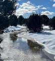 12700 Madman Mountain Road - Photo 15