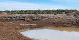 12700 Madman Mountain Road - Photo 19