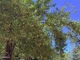 415 Rim Estates Trail - Photo 38