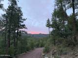 415 Rim Estates Trail - Photo 48