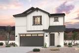 30513 Whitethorn Acacia - Photo 1