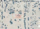 4645 Silver Reef (7 Lots) Drive - Photo 2