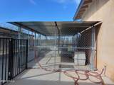 7530 Bucking Horse Road - Photo 54