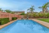 21364 Calle De Flores - Photo 46