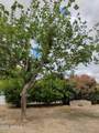 22744 Carla Vista Drive - Photo 47