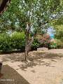 22744 Carla Vista Drive - Photo 48
