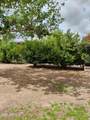 22744 Carla Vista Drive - Photo 50