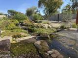 14554 Desert Cove Road - Photo 42