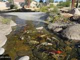 14554 Desert Cove Road - Photo 47