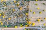 27709 158TH Way - Photo 80