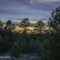 3633 Sunset Ridge Loop - Photo 10
