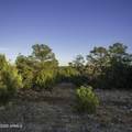 3633 Sunset Ridge Loop - Photo 15