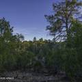 3633 Sunset Ridge Loop - Photo 17