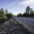 3633 Sunset Ridge Loop - Photo 19