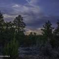 3633 Sunset Ridge Loop - Photo 29