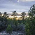 3633 Sunset Ridge Loop - Photo 31