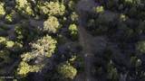 3633 Sunset Ridge Loop - Photo 36