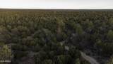 3633 Sunset Ridge Loop - Photo 45
