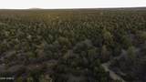 3633 Sunset Ridge Loop - Photo 46