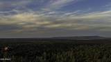 3633 Sunset Ridge Loop - Photo 48