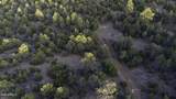 3633 Sunset Ridge Loop - Photo 57