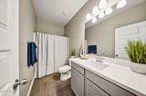 44454 Palo Amarillo Road - Photo 60