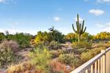 7474 Christmas Cholla Drive - Photo 34