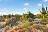 7474 Christmas Cholla Drive - Photo 37