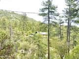 23277 Demascus Road - Photo 48