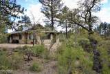23277 Demascus Road - Photo 49