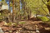 4375 Burning Tree Loop - Photo 83